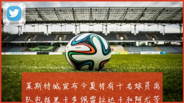 莱斯特城宣布今夏将有十名球员离队包括里卡多佩雷拉达卡和阿尤等人